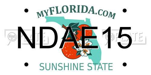 NDAE15 Florida License Plate