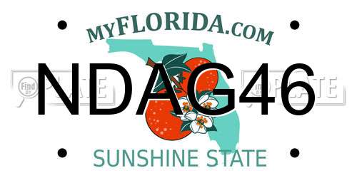 NDAG46 Florida License Plate