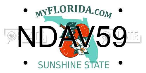 NDAV59 Florida License Plate