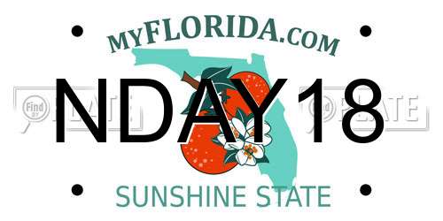 NDAY18 Florida License Plate
