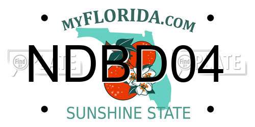 NDBD04 Florida License Plate