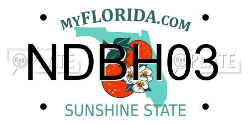 NDBH03 Florida License Plate