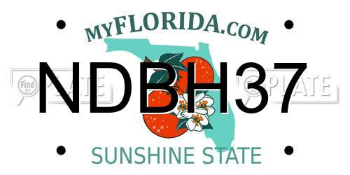 NDBH37 Florida License Plate