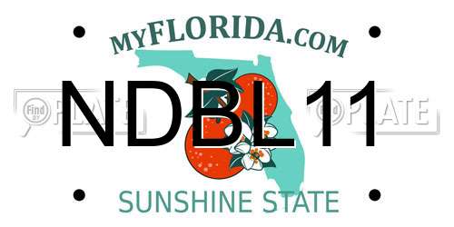 NDBL11 Florida License Plate