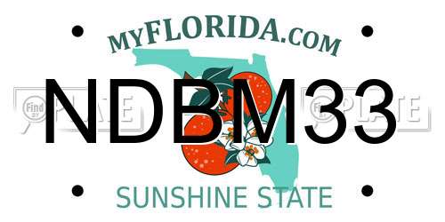 NDBM33 Florida License Plate