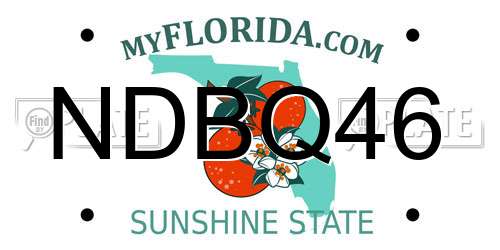 NDBQ46 Florida License Plate