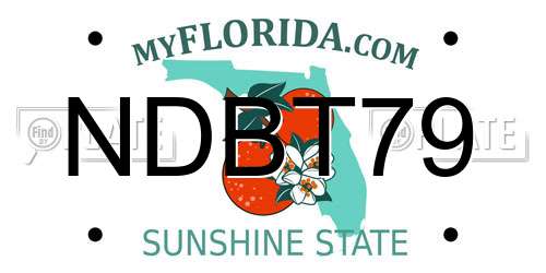 NDBT79 Florida License Plate