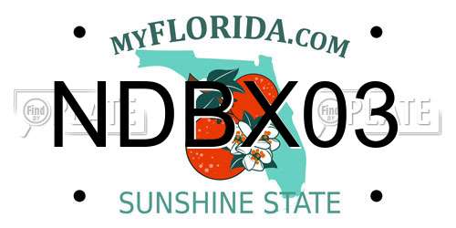 NDBX03 Florida License Plate