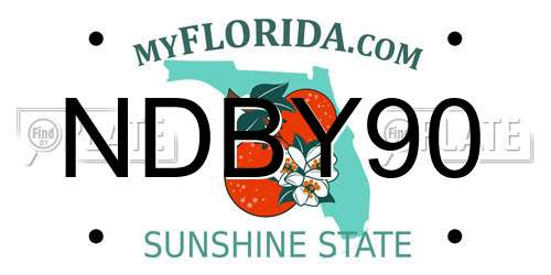 NDBY90 Florida License Plate
