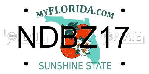 NDBZ17 Florida License Plate