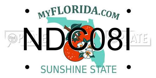 NDC08I Florida License Plate