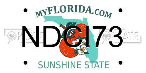 NDCI73 Florida License Plate