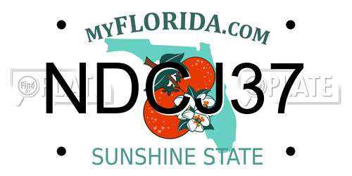 NDCJ37 Florida License Plate