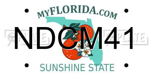 NDCM41 Florida License Plate