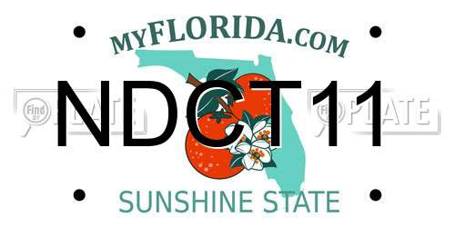 NDCT11 Florida License Plate