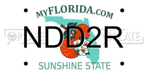 NDD2R Florida License Plate