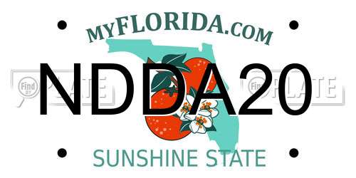 NDDA20 Florida License Plate