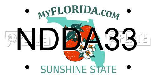 NDDA33 Florida License Plate
