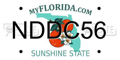 NDDC56 Florida License Plate