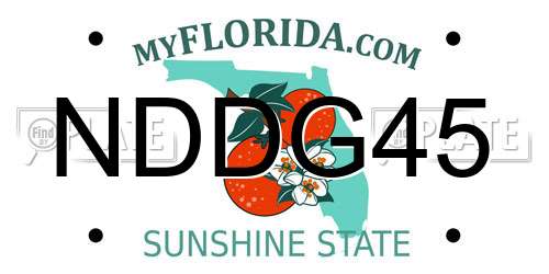NDDG45 Florida License Plate