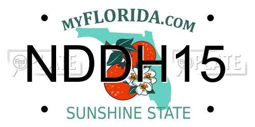 NDDH15 Florida License Plate