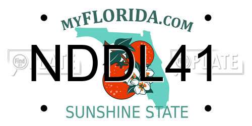 NDDL41 Florida License Plate