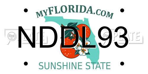 NDDL93 Florida License Plate