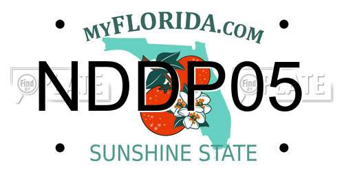 NDDP05 Florida License Plate