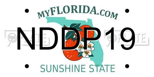 NDDP19 Florida License Plate