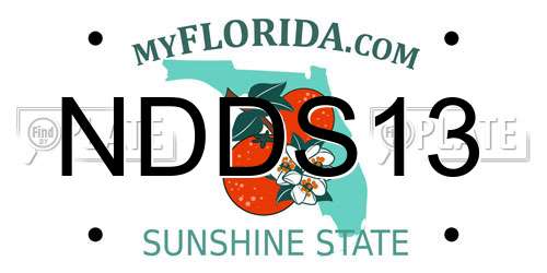 NDDS13 Florida License Plate