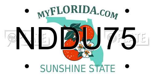 NDDU75 Florida License Plate