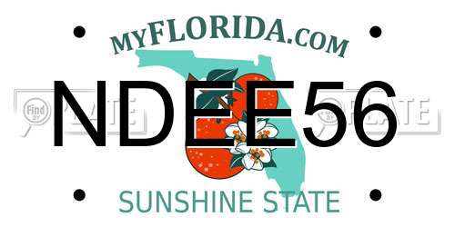 NDEE56 Florida License Plate