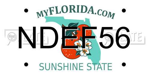 NDEF56 Florida License Plate