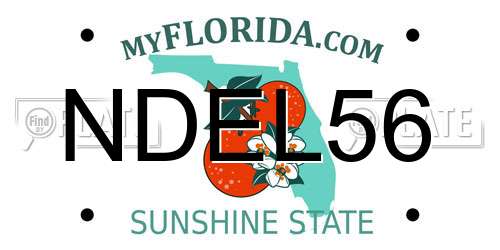 NDEL56 Florida License Plate