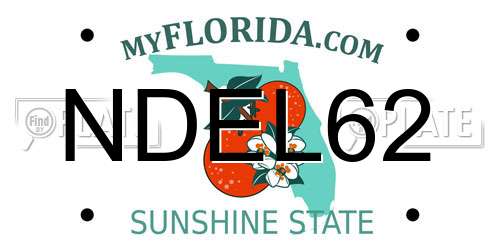 NDEL62 Florida License Plate