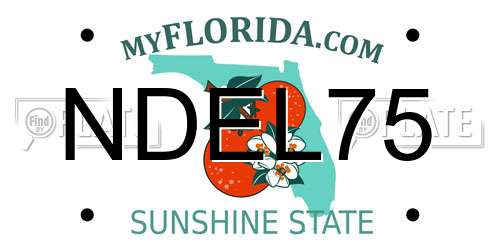 NDEL75 Florida License Plate
