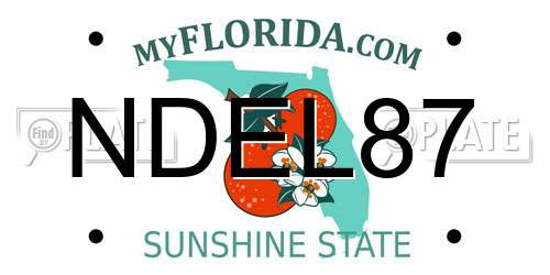 NDEL87 Florida License Plate