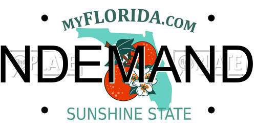 NDEMAND Florida License Plate
