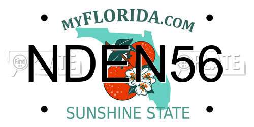 NDEN56 Florida License Plate