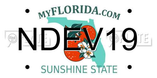 NDEV19 Florida License Plate