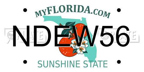NDEW56 Florida License Plate