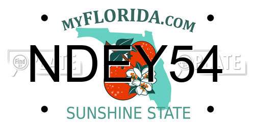 NDEY54 Florida License Plate