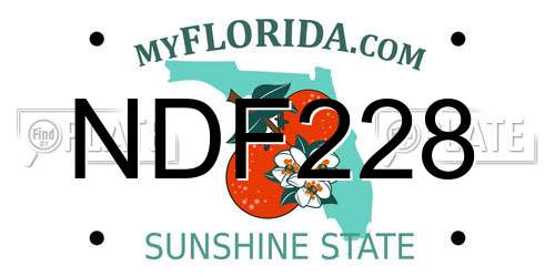 NDF228 Florida License Plate