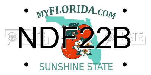 NDF22B Florida License Plate