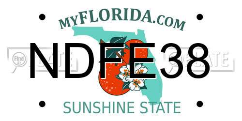 NDFE38 Florida License Plate