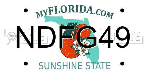 NDFG49 Florida License Plate