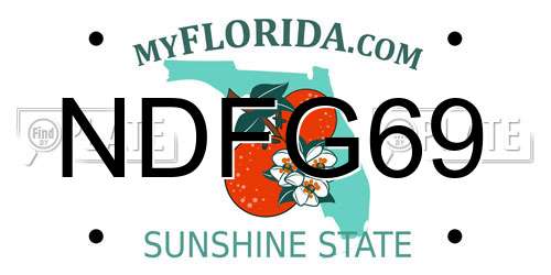NDFG69 Florida License Plate
