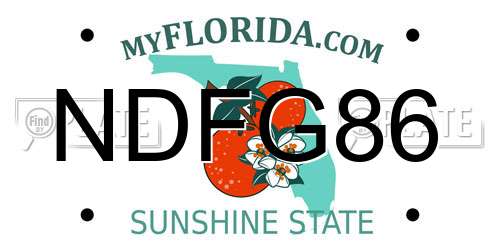 NDFG86 Florida License Plate