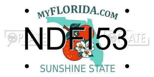 NDFI53 Florida License Plate