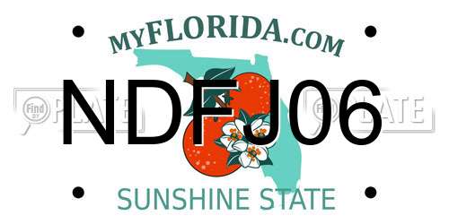 NDFJ06 Florida License Plate